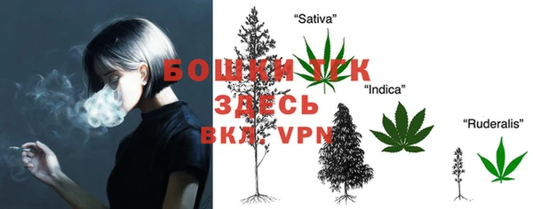 дживик Корсаков