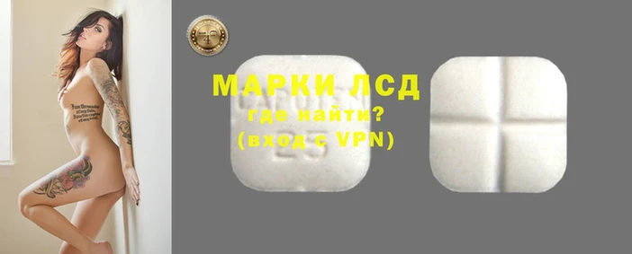 дживик Корсаков