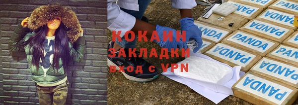 дживик Корсаков