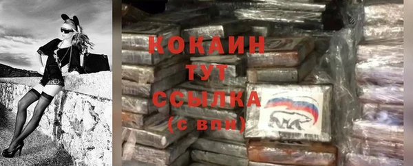 дживик Корсаков