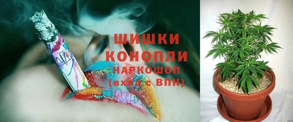 дживик Корсаков