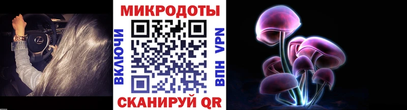 где можно купить   Струнино  Галлюциногенные грибы мицелий 
